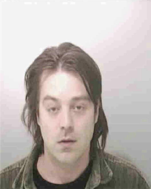 HOLLIS, BRIAN MARK - Peoria County, IL