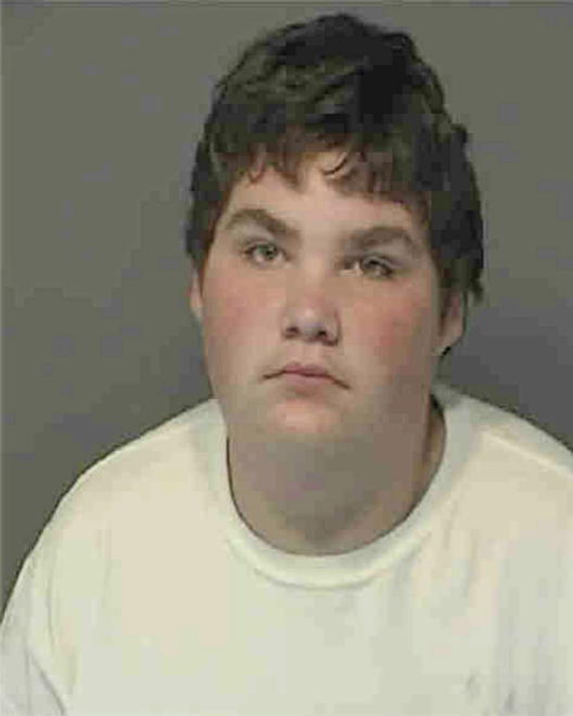 DAHL, JOSHUA JAMES - Peoria County, IL