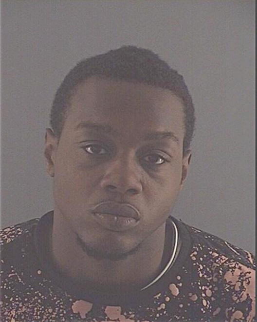 WATKINS, SHAUN LEE - Peoria County, IL