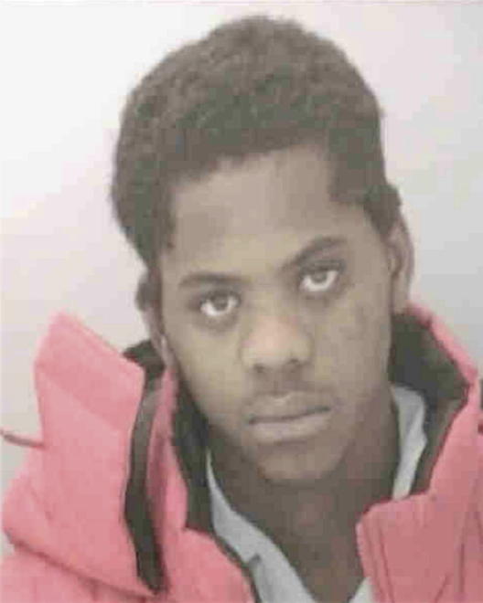 SHIELDS, LONNIE EDWARD - Peoria County, IL