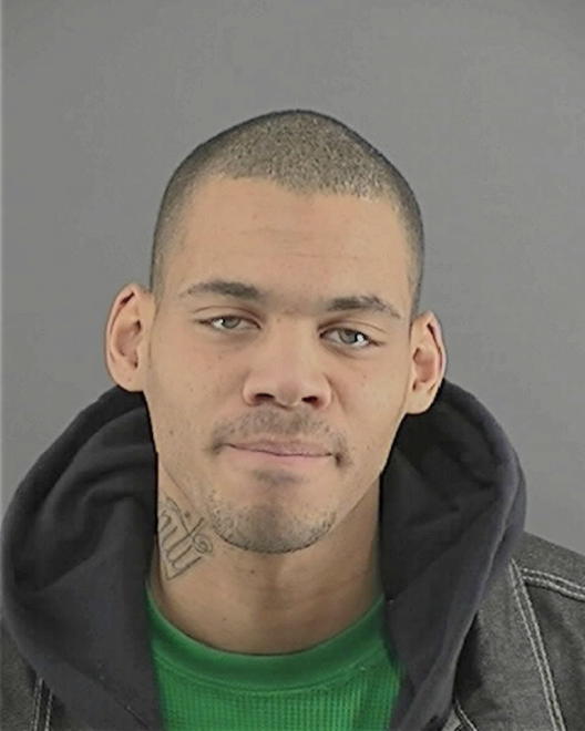 POLNITZ, SYLVESTER MICHAEL - Peoria County, IL