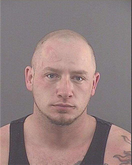 TESCH, DWAYNE - Peoria County, IL