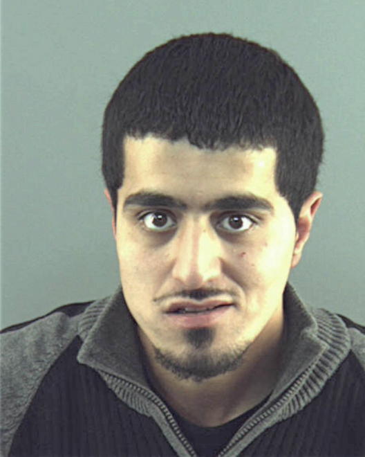 ABDALLAH, ALLA Y - Peoria County, IL