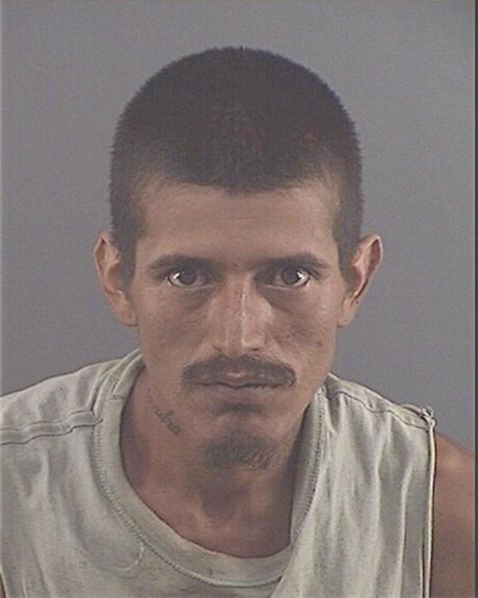 TORRES, CARLOS H - Peoria County, IL