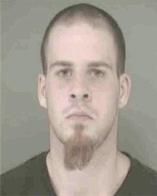 ROBERSON, BRANDON L - Peoria County, IL