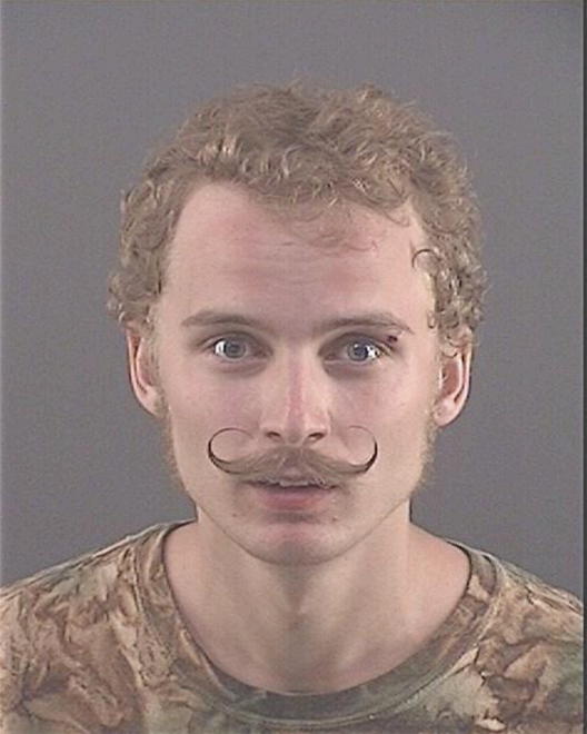 NYITRAY, PETER D - Peoria County, IL