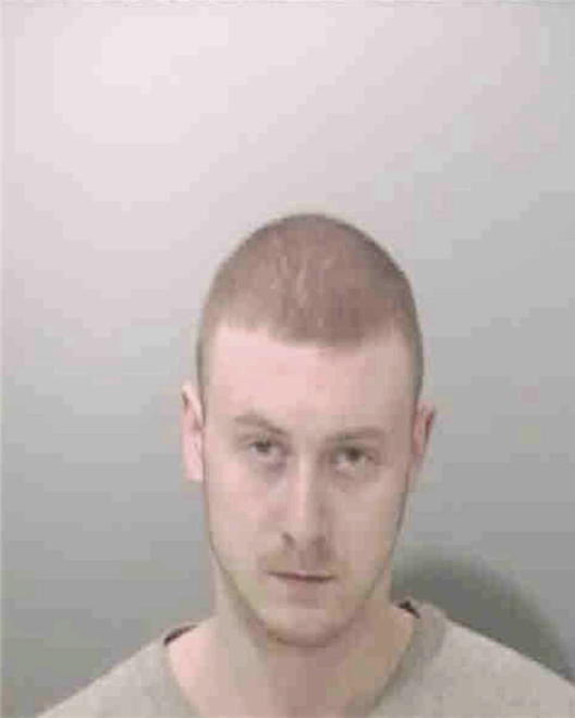 BARNES, NATHANIEL N - Peoria County, IL
