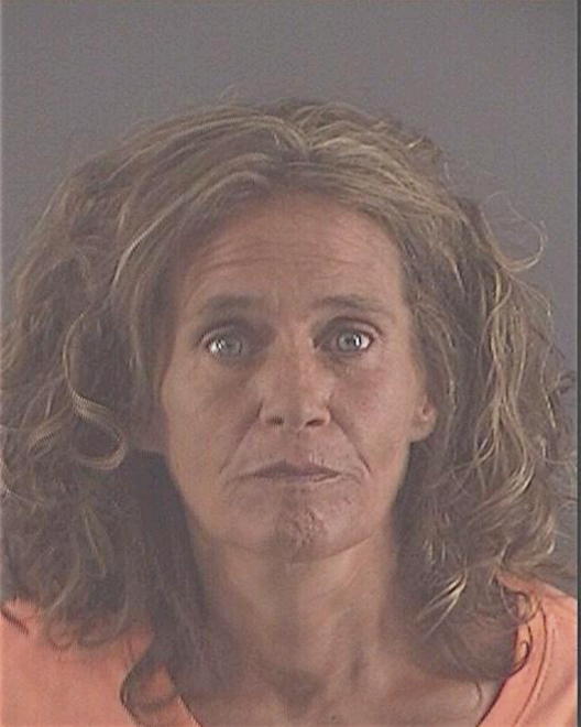 BREMER, PAULA LESLIE - Peoria County, IL
