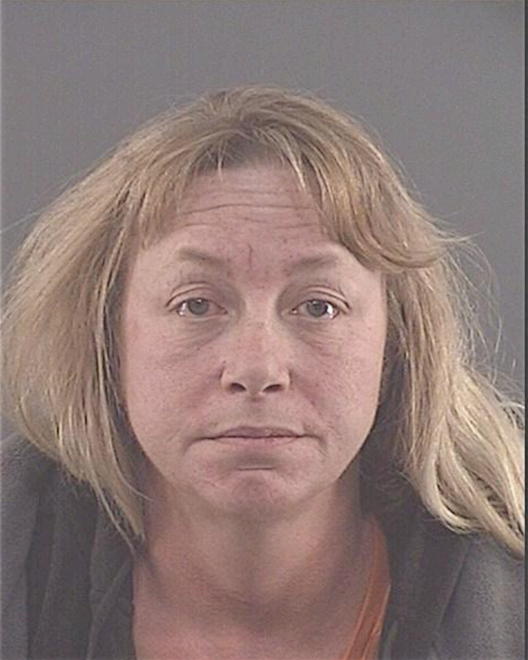 LEE, DENISE MARIE - Peoria County, IL