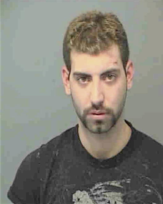 GUZMAN, RYAN KRISTOPHER - Peoria County, IL