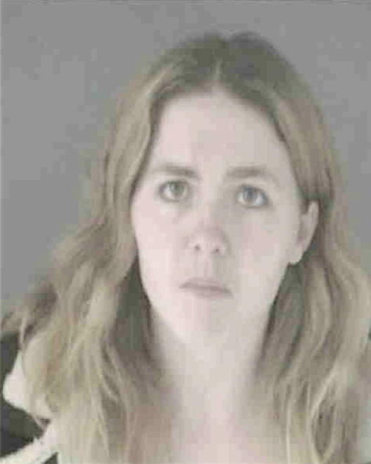 ELKINS, LISA ANN - Peoria County, IL