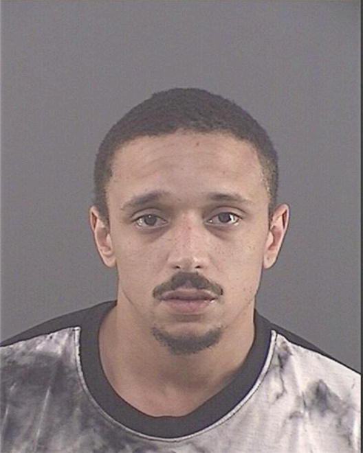 MAPLE, LUDUANE D - Peoria County, IL