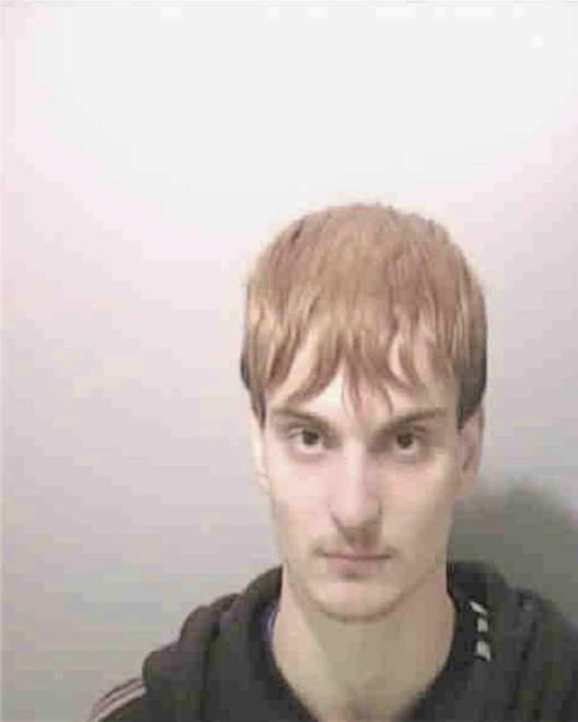 SCOLES, SHAUN ANTHONY - Peoria County, IL