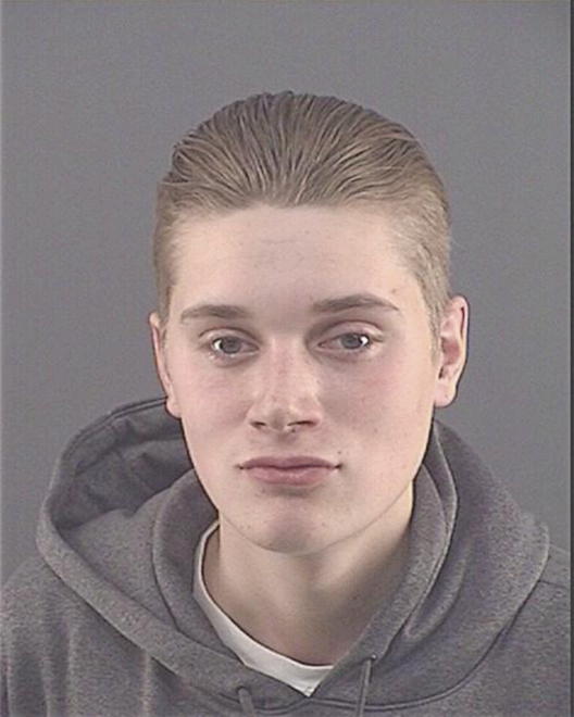 THIEME, WILLIAM H - Peoria County, IL