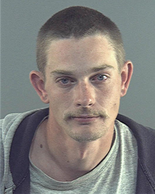 FREERKING, DANIEL L - Peoria County, IL