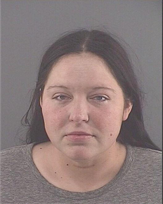 LENZ, CHRISTINA L - Peoria County, IL