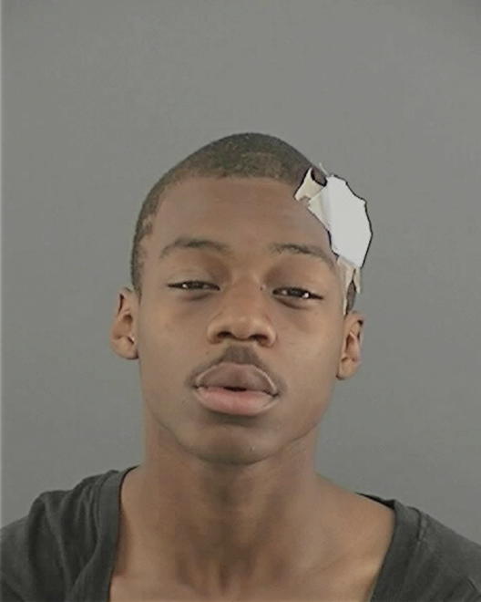 FERGUSON, LATREY C - Peoria County, IL