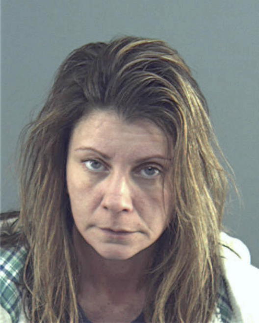 VANDEVEER, ROMY LEE - Peoria County, IL