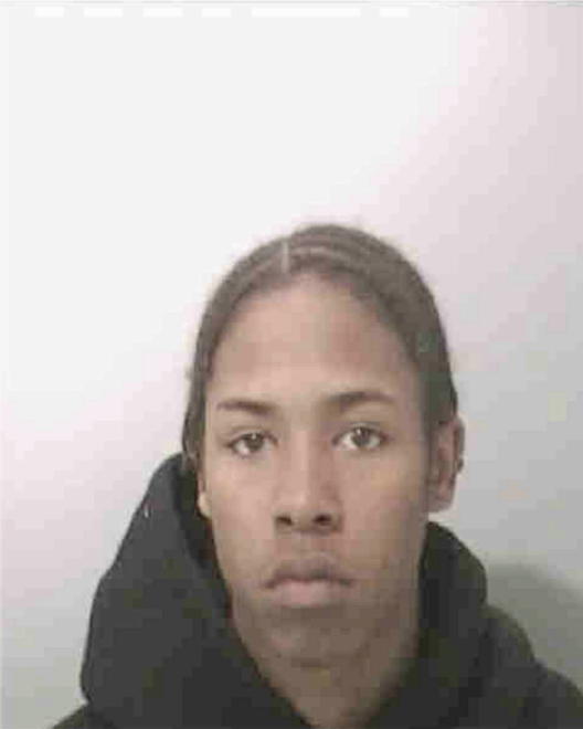 HIGHTOWER, STEPHEN ALLEN - Peoria County, IL