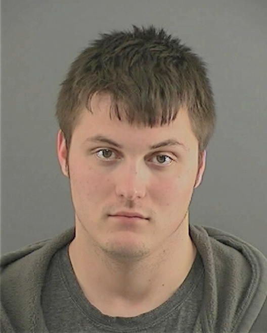 ANDREWS, MITCHELL RYAN - Peoria County, IL