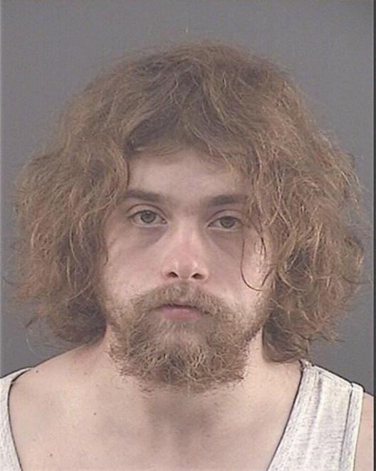 MERRITT, TYLER A - Peoria County, IL