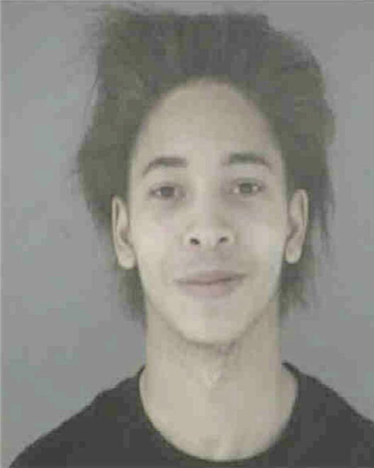 DAVIS, BRANDON A - Peoria County, IL