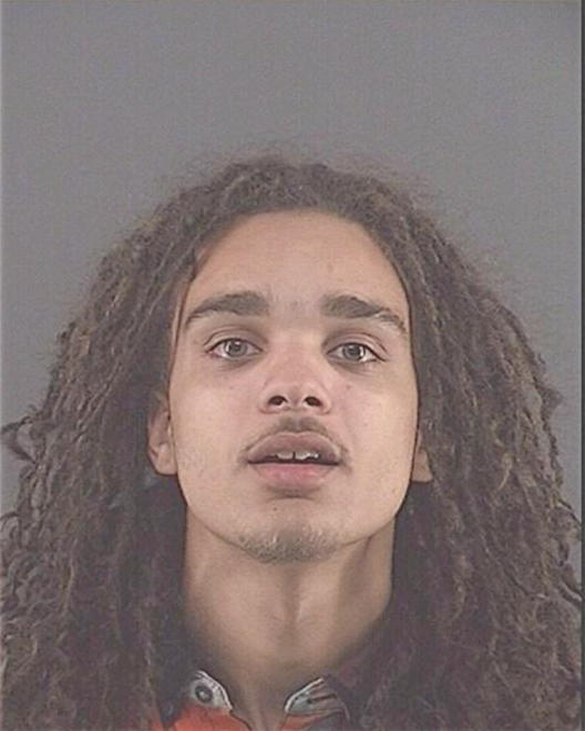 MOSS, TERRY LEE - Peoria County, IL