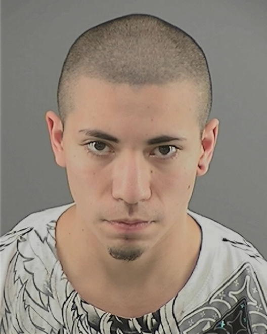 GARZA, DAVID - Peoria County, IL