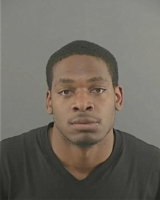 BRADLEY, TERRENCE MATTHEW - Peoria County, IL