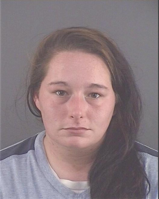 VANSAGHI, ERICA M - Peoria County, IL