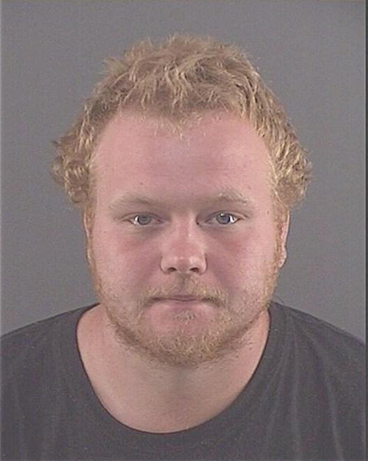 HRDLICKA, BRANDON L - Peoria County, IL