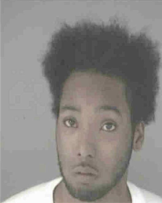 JOHNSON, DAVID DEANDRE - Peoria County, IL