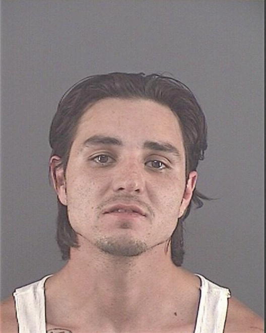 ACEVEDO, ALDFREDO J - Peoria County, IL