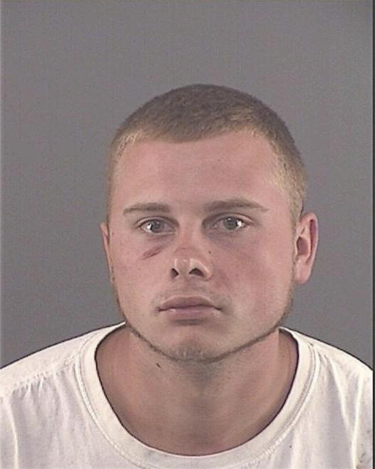 BRADSHAW, RYAN - Peoria County, IL