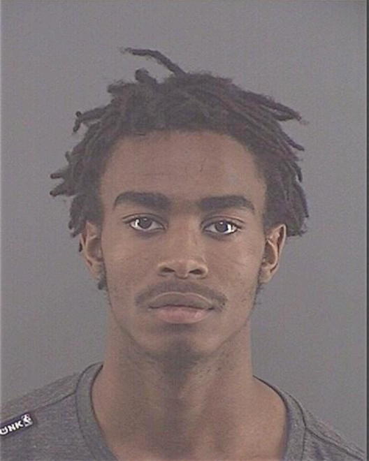 LAMON, AARON - Peoria County, IL