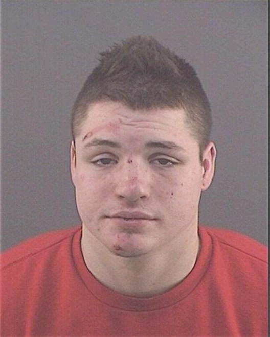 TYLER, ZACHARY D - Peoria County, IL