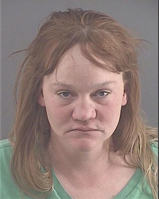 HOLT, LISA MARIE - Peoria County, IL