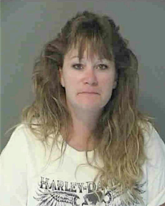 BAUGHMAN, MICHELLE L. - Peoria County, IL