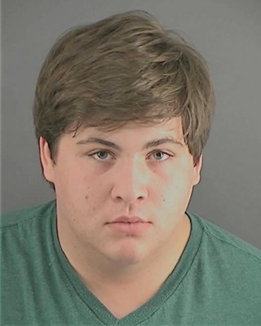 PEAK, ANTHONY MICHAEL - Peoria County, IL