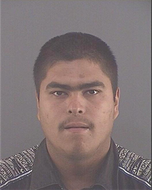 OCHOA, OLIVER - Peoria County, IL