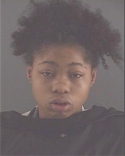 WEBSTER, MACHAEL A - Peoria County, IL