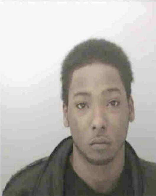 JOHNSON, DAVID DEANDRE - Peoria County, IL