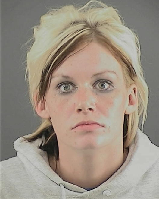 NEMETH, SHANNON MARIE - Peoria County, IL