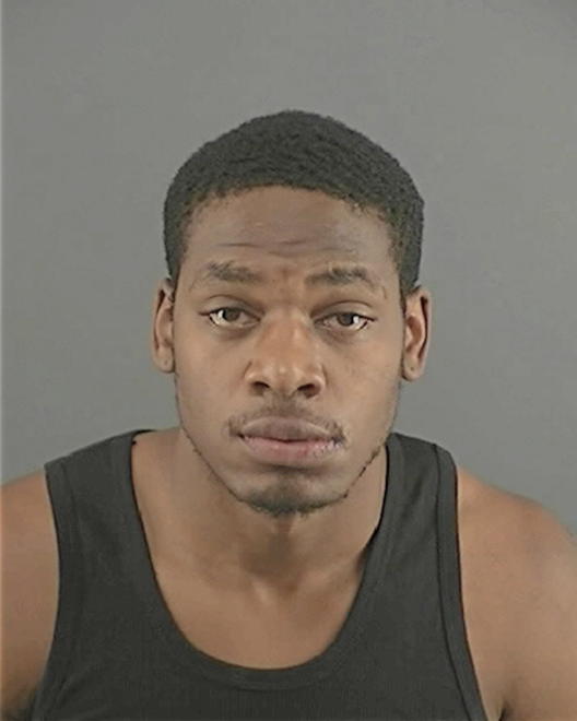 BRADLEY, TERRENCE MATTHEW - Peoria County, IL