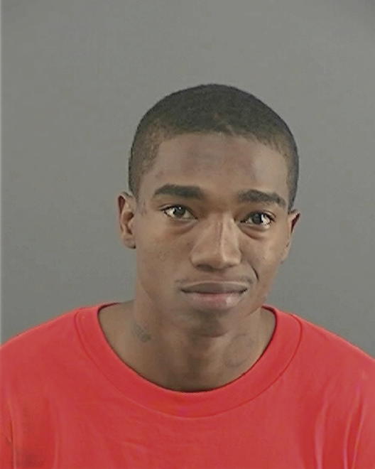 BROWN, OBRIAN DEMARKO - Peoria County, IL
