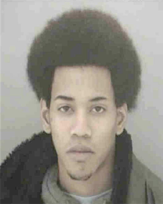 DAVIES, ANDREAS STEPHEN - Peoria County, IL