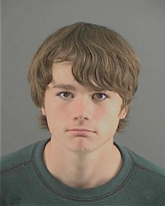 SCHOLL, BRANDEN DOUGLAS - Peoria County, IL