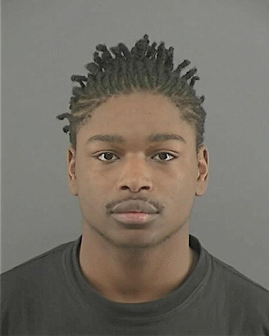 ALEXANDER, DIMONIESHEO L - Peoria County, IL