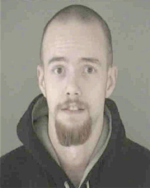HUTCHISON, CHRISTOPHER THOMAS - Peoria County, IL