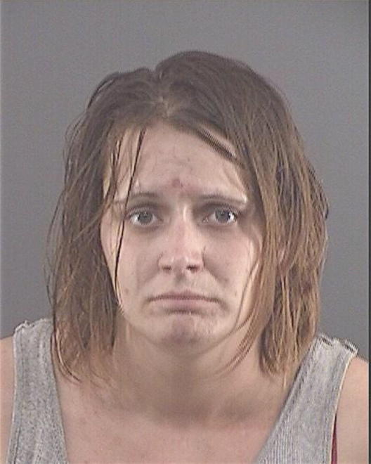HUTCHINSON, NICOLE LYNN - Peoria County, IL